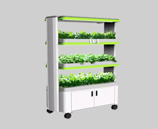 �������ݪֲ���