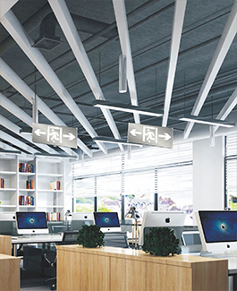 ����Ӧ��