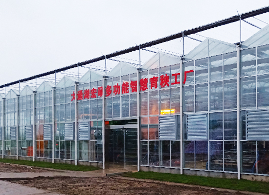 ��ͨ����˶�๦Ч�ǻ���������