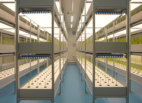 ��������ּ�������Ŀ