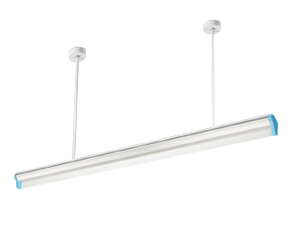 ��ѧרҵ�ڰ��