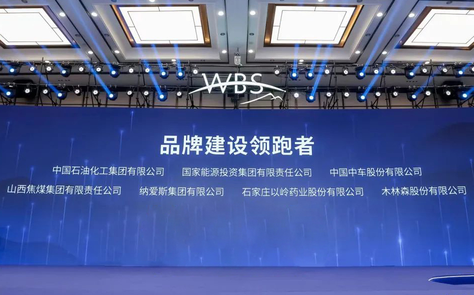 ��������(�й�VIP��֤)�ɷ����޹�˾