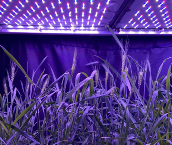 ����Ӧ��